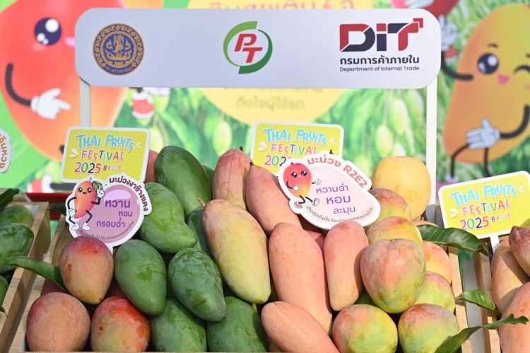 batch_04.-พาณิชย์-จับมือ-4-ปั๊มน้ำมัน-ซื้อมะม่วงแฟนซีภาคเหนือ “พาณิชย์” จับมือ 4 ปั๊มน้ำมัน ซื้อมะม่วงแฟนซีภาคเหนือ นำแจกเป็นของสมนาคุณผู้เติมน้ำมัน