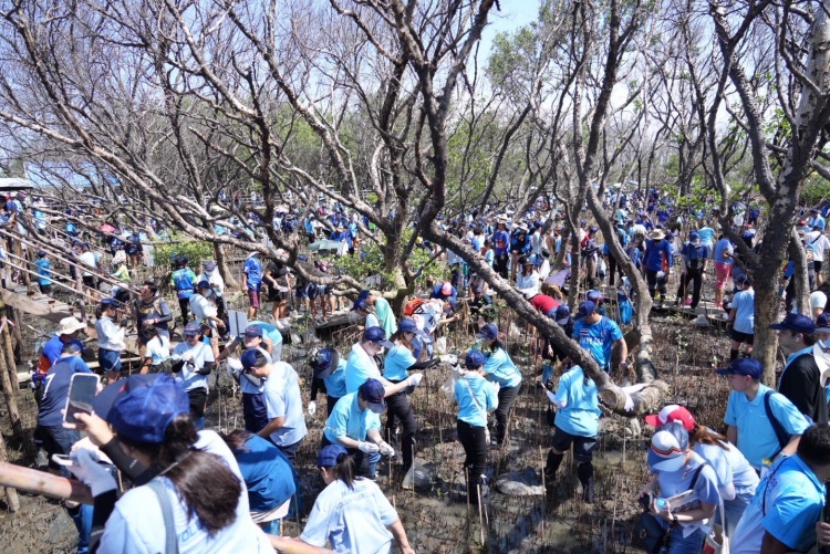 batch_4-1 Toyota จัดกิจกรรมปลูกป่าชายเลน 50,000 ต้น ในโครงการ โตโยต้าปลูกป่าชายเลน ปีที่ 18