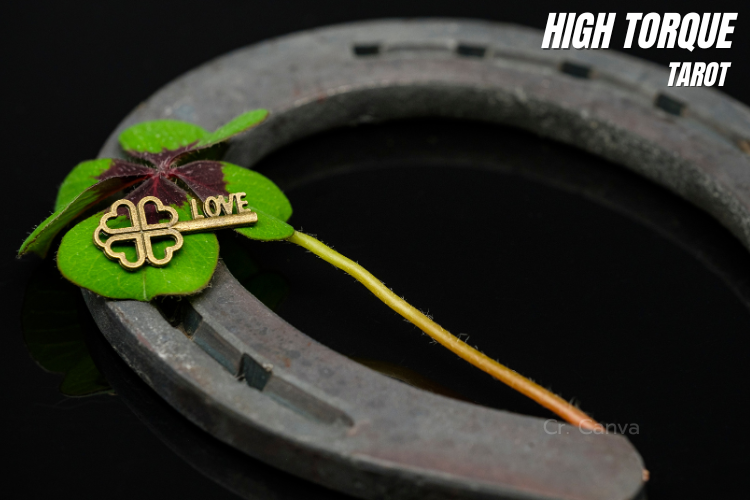 Lucky-horseshoe-03 เกือกม้า อุปกรณ์สำหรับม้าที่สร้างคุณค่า และความโชคดีได้ทุกมิติ