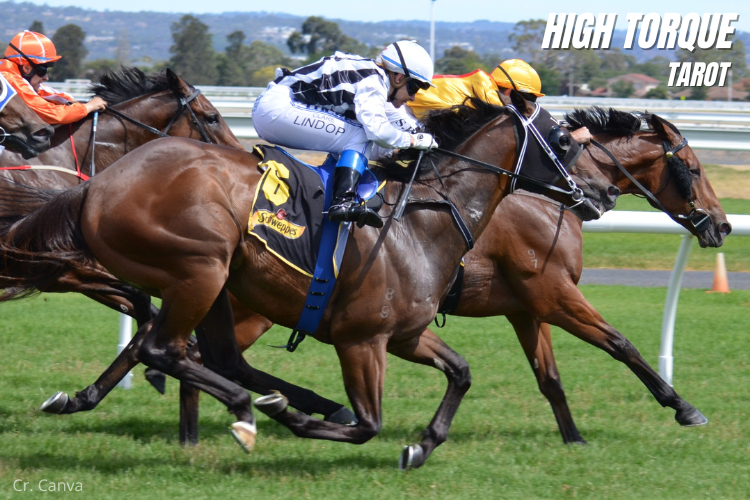 1 ม้าแข่งทางเรียบทั่วโลกมีระยะทางเท่าไหร่ และรายการใดวิ่งไกลที่สุด?