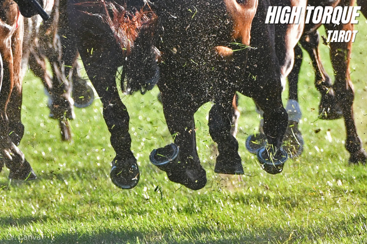 3 ม้าแข่งทางเรียบทั่วโลกมีระยะทางเท่าไหร่ และรายการใดวิ่งไกลที่สุด?