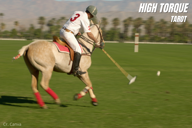 Hightorquetarot-website-polo-pony เบอร์เสื้อโปโลม้า มีความหมายซ่อนอยู่