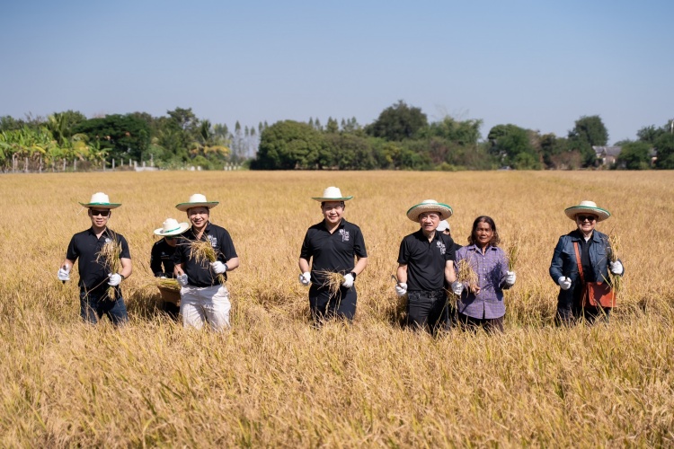 batch_05.-โครงการข้าวยั่งยืน-ลดมีเทน-ด้วยนาเปียกสลับแห้ง02 PTG ส่งเสริมโครงการ “ปลูกข้าวแบบเปียกสลับแห้ง” ต.หนองสะเดา อ.สามชุก จ.สุพรรณบุรี