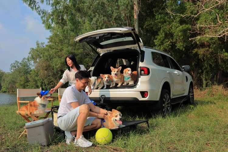 batch_Ford-Love-Your-Pet-Day-2 ผจญภัยกับสัตว์เลี้ยงแสนรัก ฉลอง Love Your Pet Day ด้วย Ford Everest Platinum