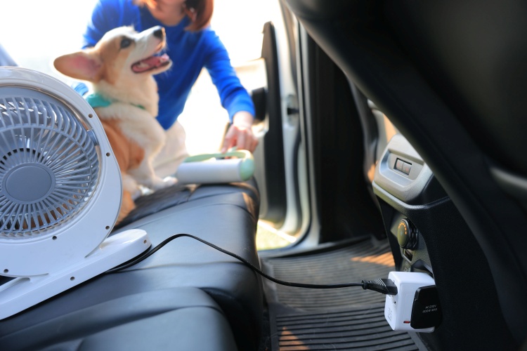 batch_Ford-Love-Your-Pet-Day-4 ผจญภัยกับสัตว์เลี้ยงแสนรัก ฉลอง Love Your Pet Day ด้วย Ford Everest Platinum