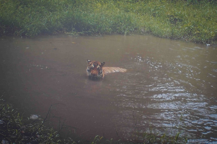 batch_NISSAN-x-WWF_03 นิสสัน ประเทศไทย สานต่อความร่วมมือกับ WWF ประเทศไทย ปีที่ 3 เสริมทัพภารกิจอนุรักษ์ด้วยพลังความ “ทน พร้อม ลุย”