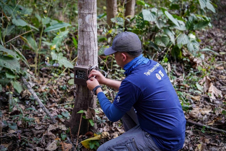 batch_NISSAN-x-WWF_09 นิสสัน ประเทศไทย สานต่อความร่วมมือกับ WWF ประเทศไทย ปีที่ 3 เสริมทัพภารกิจอนุรักษ์ด้วยพลังความ “ทน พร้อม ลุย”
