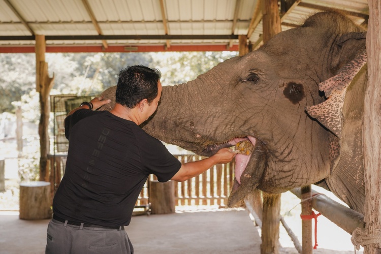 batch_Defender-6 Defender จับมือ “มูลนิธิช้างแห่งประเทศไทย” ขับเคลื่อนพันธกิจการอนุรักษ์ช้างสู่อนาคตแห่งการอยู่ร่วมกันอย่างยั่งยืน