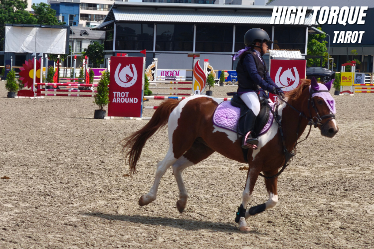 1 Trot Around International Horse Show Thailand 2026 โรงละครเวทมนตร์ของคนรักกีฬาขี่ม้าสุดยิ่งใหญ่