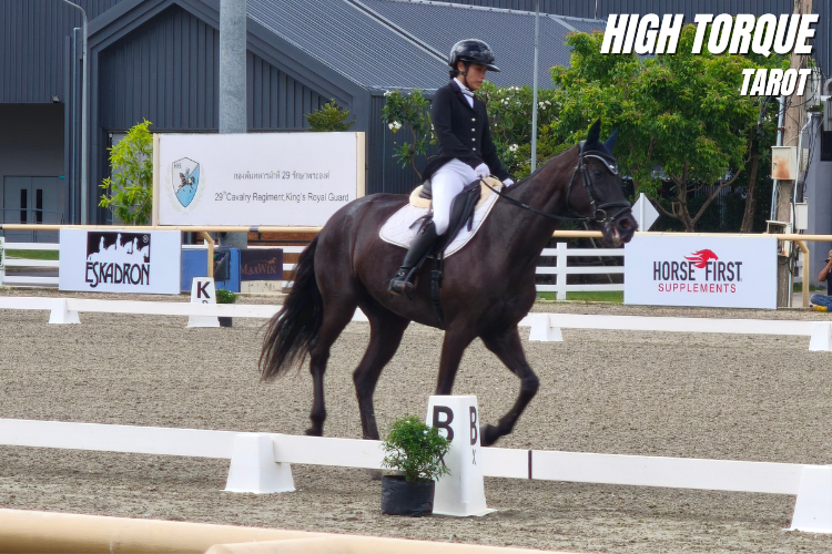 3 Trot Around International Horse Show Thailand 2026 โรงละครเวทมนตร์ของคนรักกีฬาขี่ม้าสุดยิ่งใหญ่