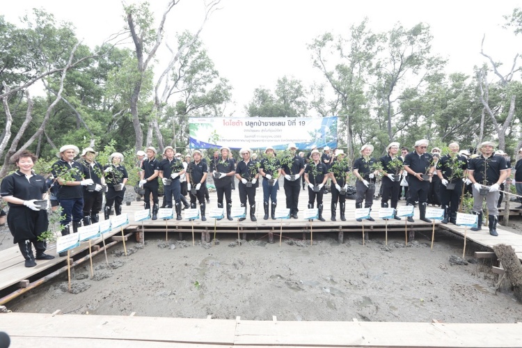 batch_1-2 โตโยต้า ปลูกป่าชายเลน ปีที่ 19 ผนึกพลังภาคีเครือข่าย เดินหน้ามุ่งสู่เป้าหมายความเป็นกลางทางคาร์บอน